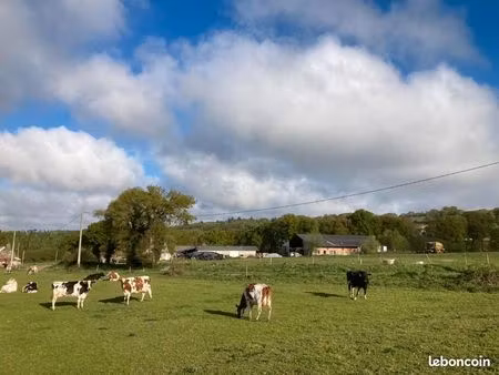 ferme à transmettre pour élevage à l'herbe en bio