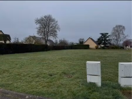 terrain constructible