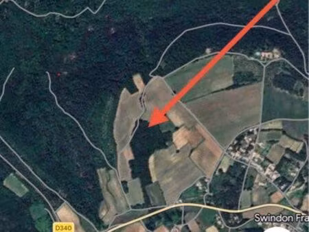 terrain boisé