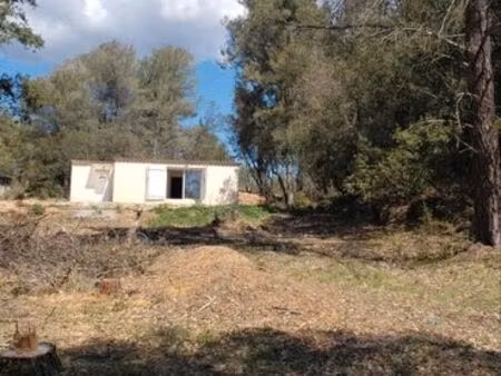 location maison calme a saisir