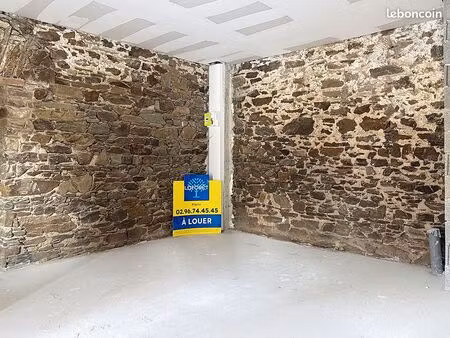 local 21 m² plerin