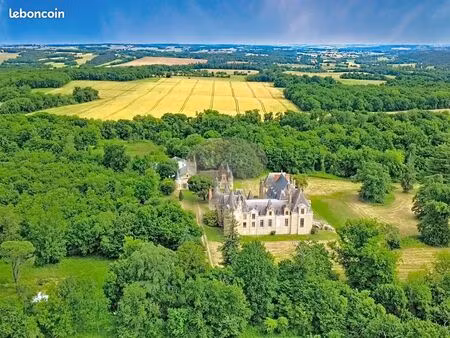 chateau 2000 m² mirande
