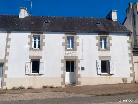à vendre – maison pierres avec jardin – plomelin