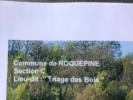 terrain agricole