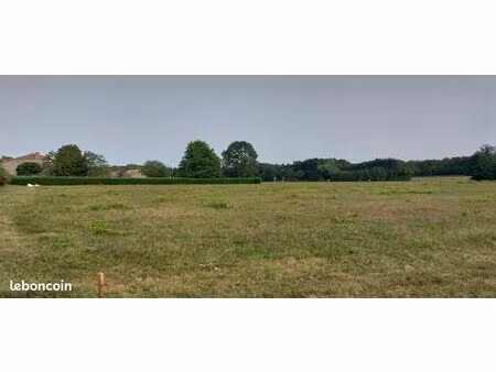 terrain 1 000 m² saint germain d esteuil