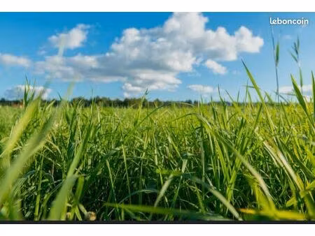 terrain 786 m² - axe stratégique vendays-montalivet - 24 000