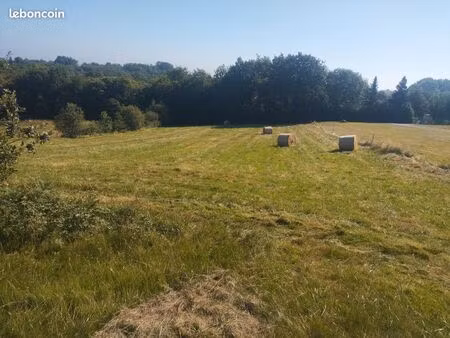 terrain agricole