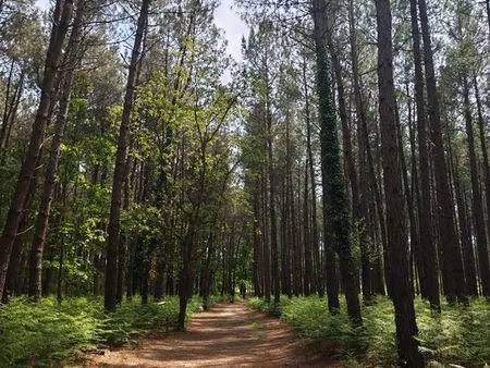 recherche petit terrain ou parcelle à détacher