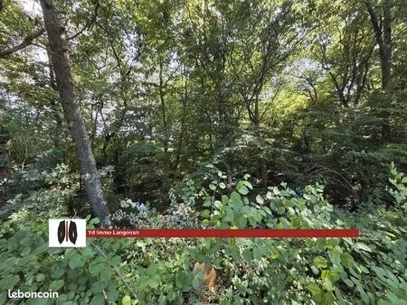terrain 40000 m² capian