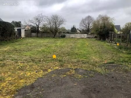 terrain constructible