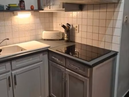 appartement meublé 1 chambre