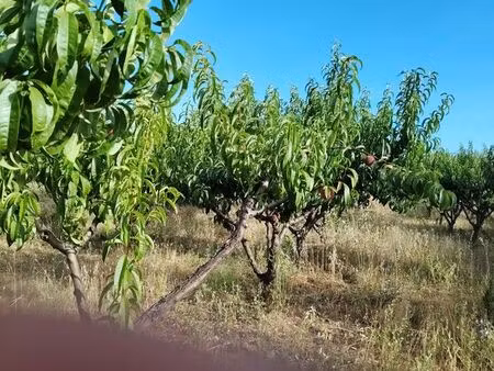 terrains agricoles