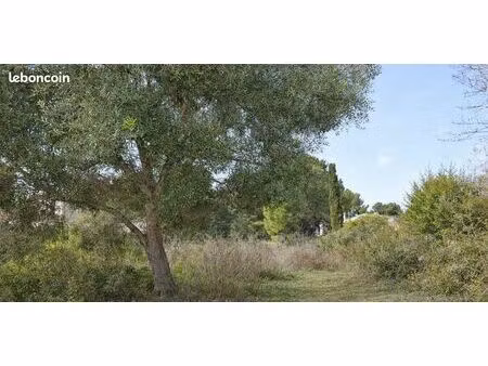 cherche terrain agricole ou loisir