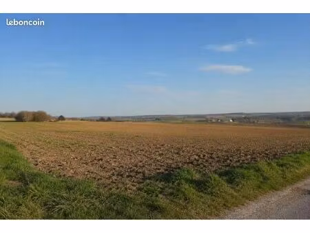 recherche terrain agricole
