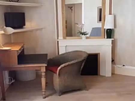 studio meublé avec cheminée