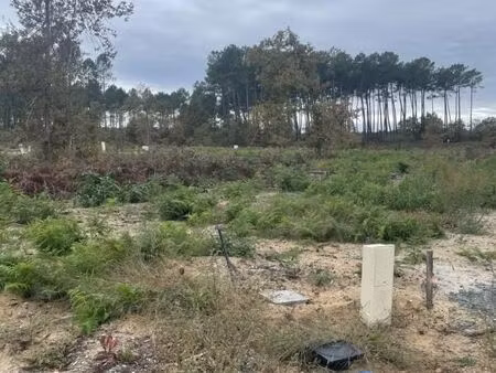 terrain 500 m² salles