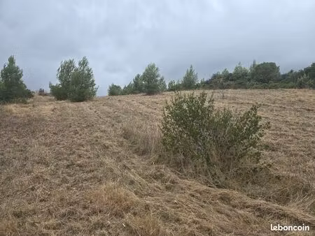 terrain agricole