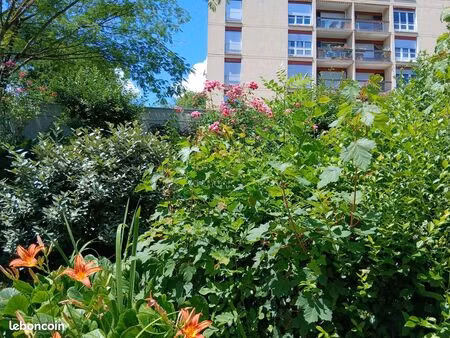 appartement t3