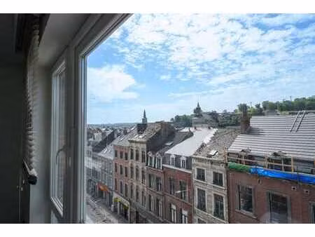 appartement 1 ch dans le piétonnier - vue citadelle