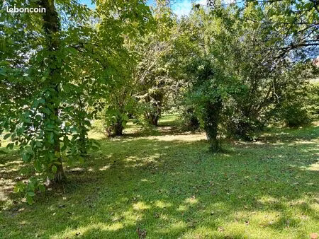 terrain constructible 1.066m2