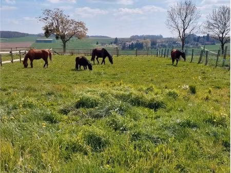 recherche terrain agricole pour chevaux