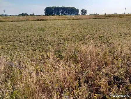terrain constructible