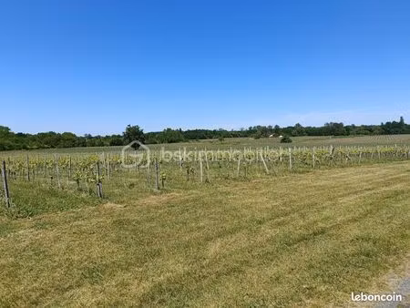 terrain agricole mazion