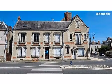 immeuble 195 m² romorantin lanthenay