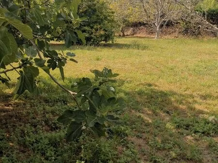 terrain constructible à tresses melac