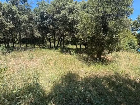terrain sussargue