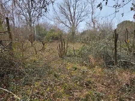 terrain constructible