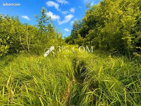 terrain agricole 11 407 m² chazelles sur albe