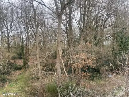 parcelle d’un taillis de bois + terrain