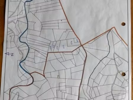 parcelles bois