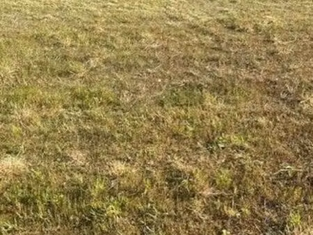 terrain constructible de 2720m² petit auverné 44670