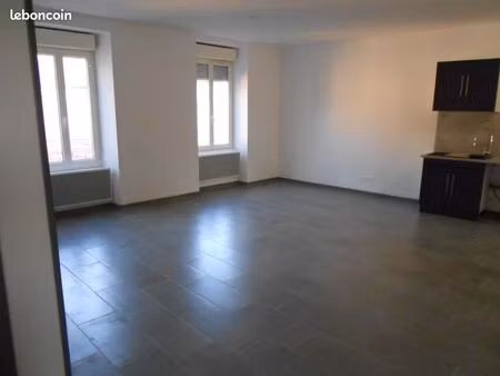 appartement 100 m² – centre-ville – 3 grandes chambres
