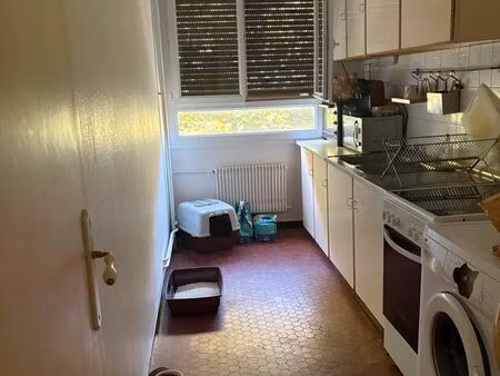 location appartement f2