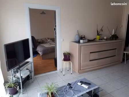 f2  52 m2  plein centre d'olivet