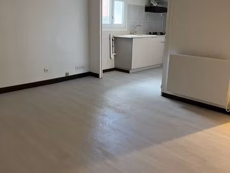 apparement rénové 45 m2