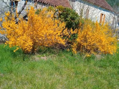 terrain a vendre