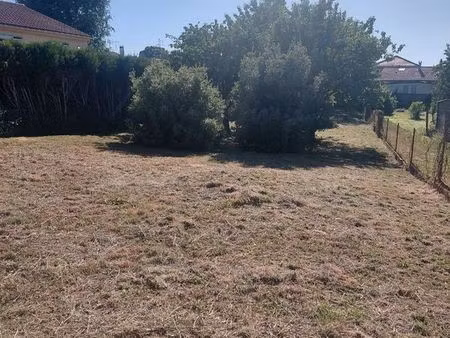 terrain constructible