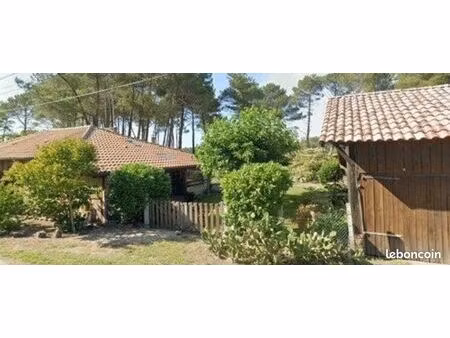 a vendre propriété landaise