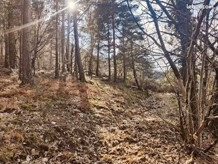 terrain 6500 m² avec certificat d'urbanisme (mai26)