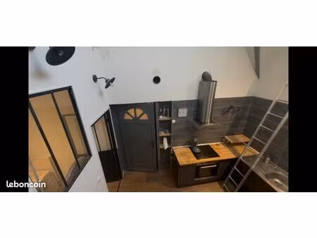 loft 170m2 hyper centre alencon