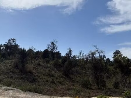forêt 569 m² labenne