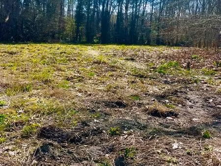 forêt 1 523 m² pessac