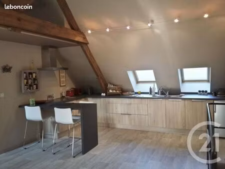 studio 1 pièce 50 m²
