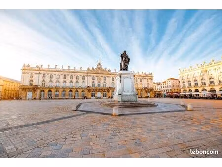 local 133 m² nancy