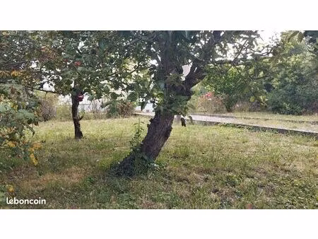 terrain 545m2 angers