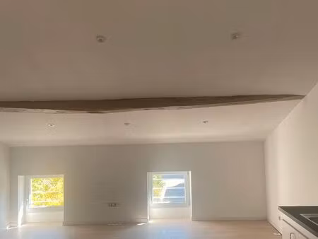 appartement refait à neuf 2 pièces de 55m2